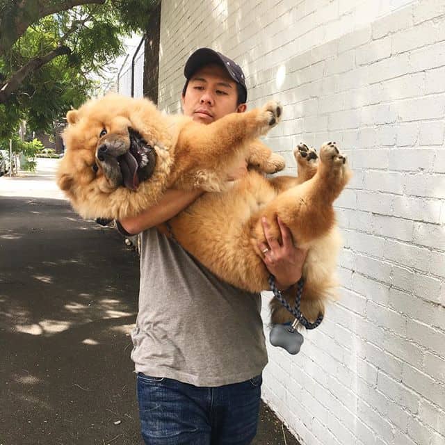 Ian carrying his dog Louie
